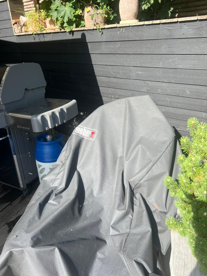 Gasgrill Weber Genisis