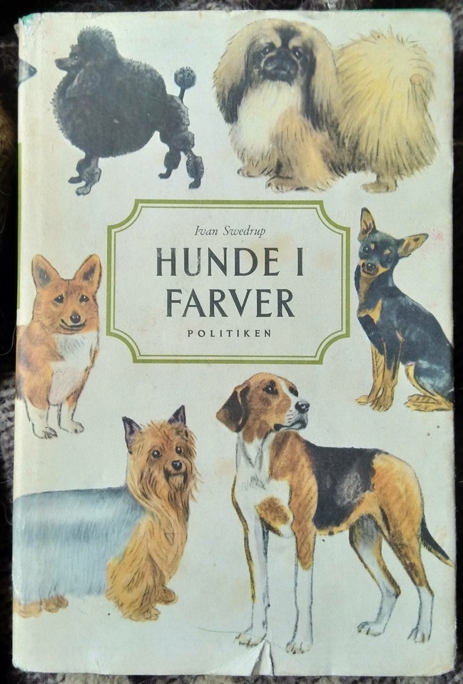 Hunde i farver, Ivan Swedrup, emne: