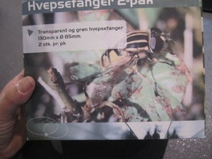 hvepsefanger