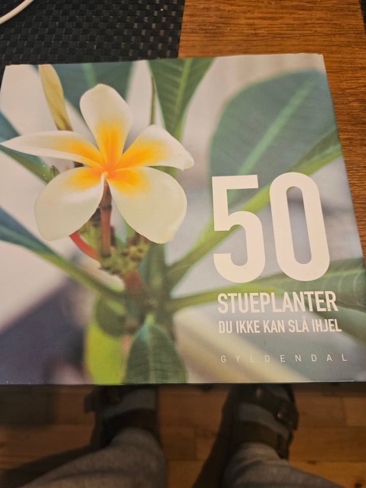 50 stueplanter du ikke kan slå