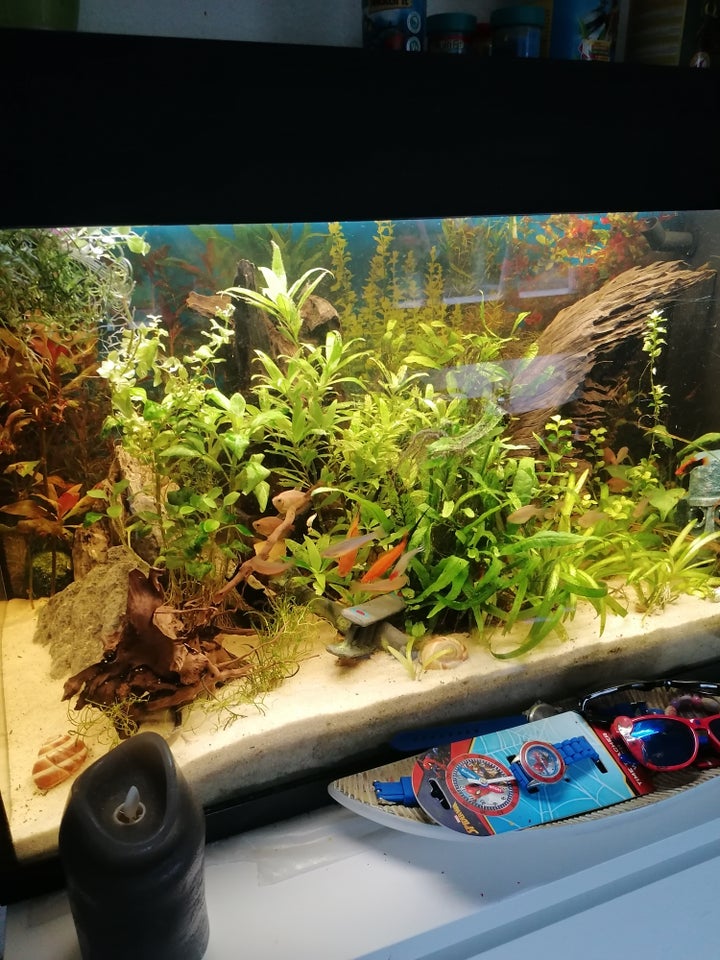 Akvarium, 125 liter