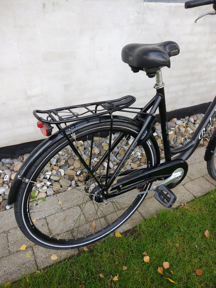 Damecykel, Raleigh, Shopping Alu