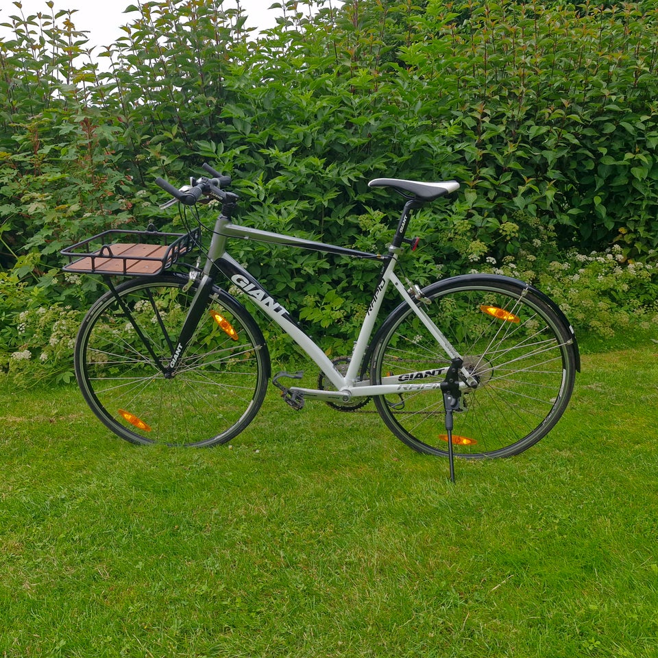 Herreracer Giant Rapid 55 cm stel