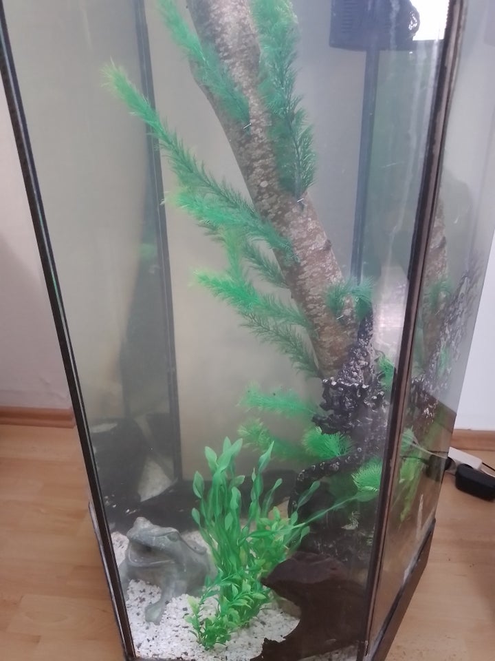 Akvarium, 350 liter