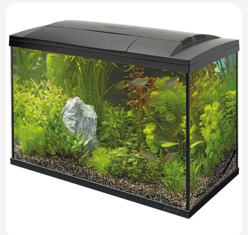 Akvarium, 146 liter