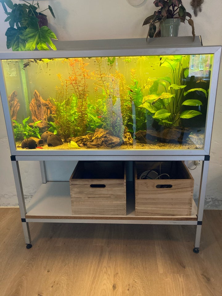 Akvarium, 200 liter