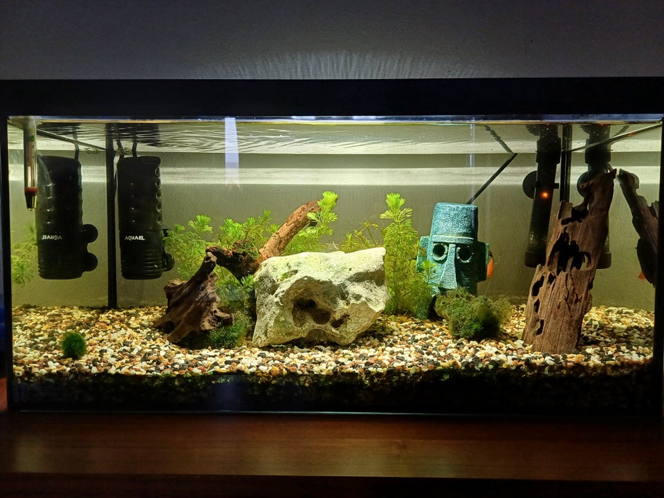 Akvarium, 54 liter, b: 60 d: 30 h: 30