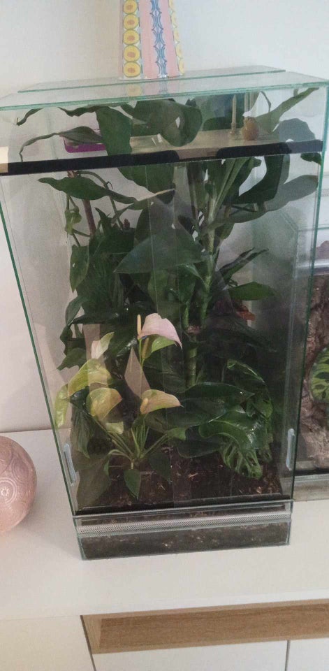 Terrarium, b: 40 d: 40 h: 80