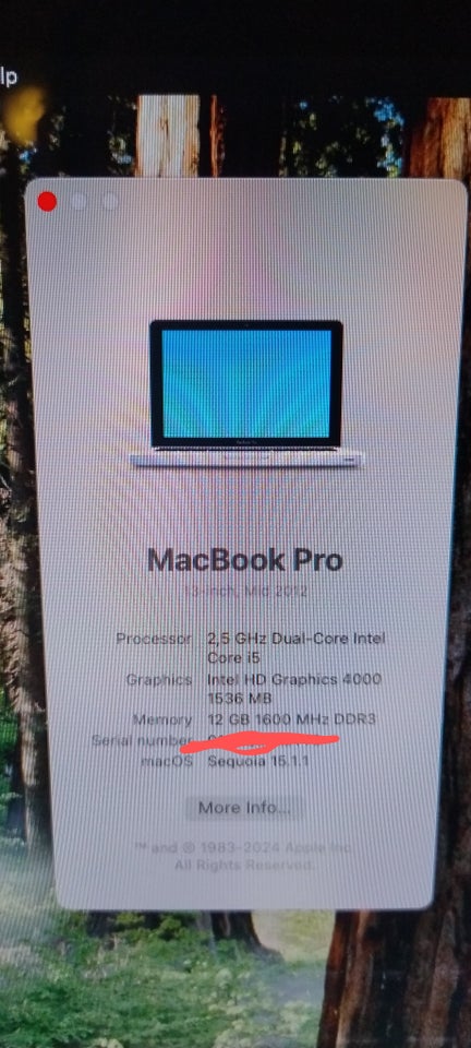 MacBook Pro, Mid 2012, 12 GB ram