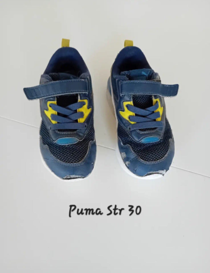 Kondisko, str. 30, Puma