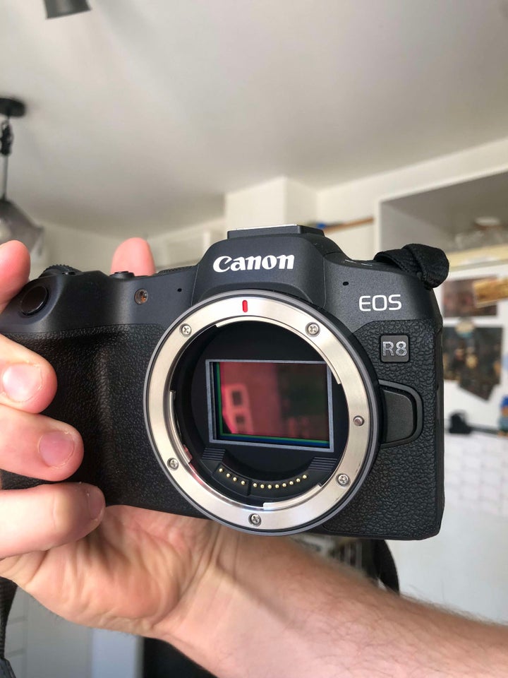 Canon, R8, Perfekt