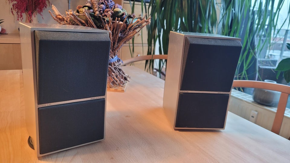 Højttaler, Bang  Olufsen, Beovox C