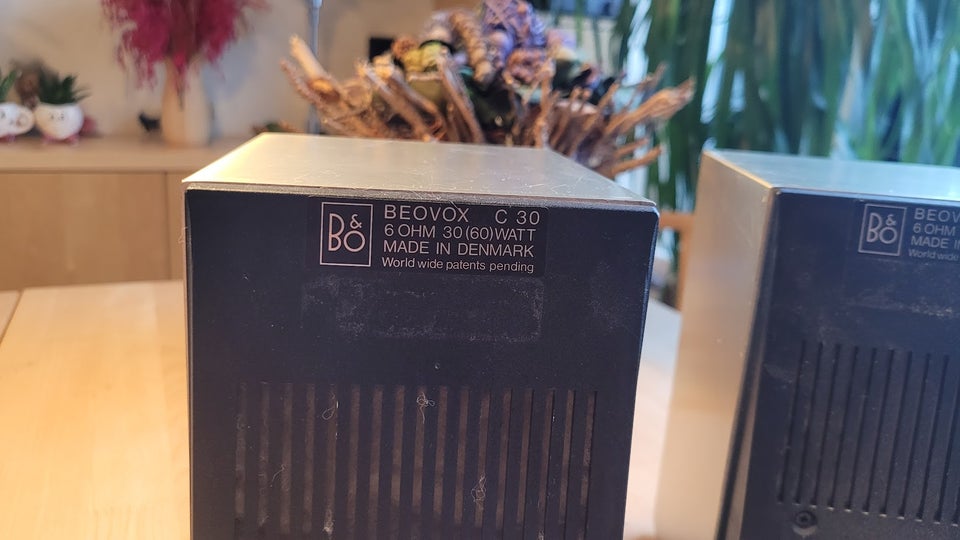 Højttaler, Bang  Olufsen, Beovox C