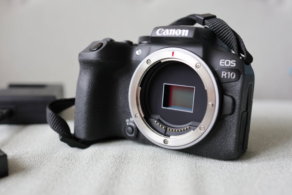 Canon, EOS R10, 24 megapixels