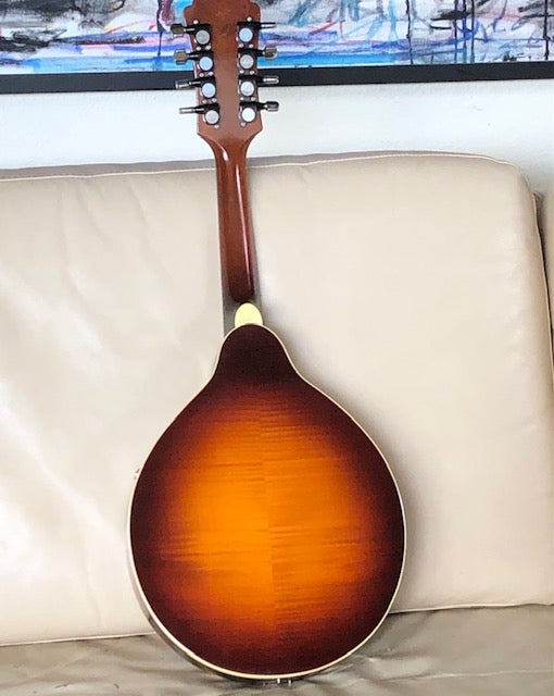 Mandolin, Levin 155 1976-77