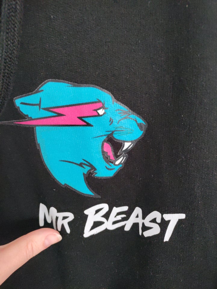 Sweater, Hættetrøje, MrBeast