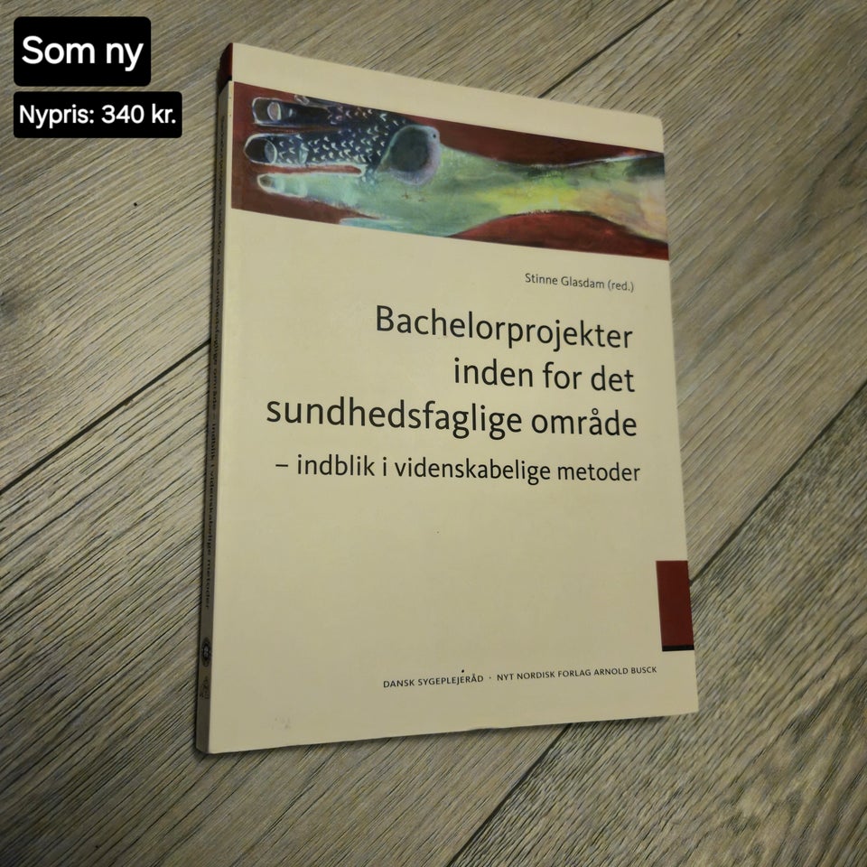 Bachelorprojekter inden for det