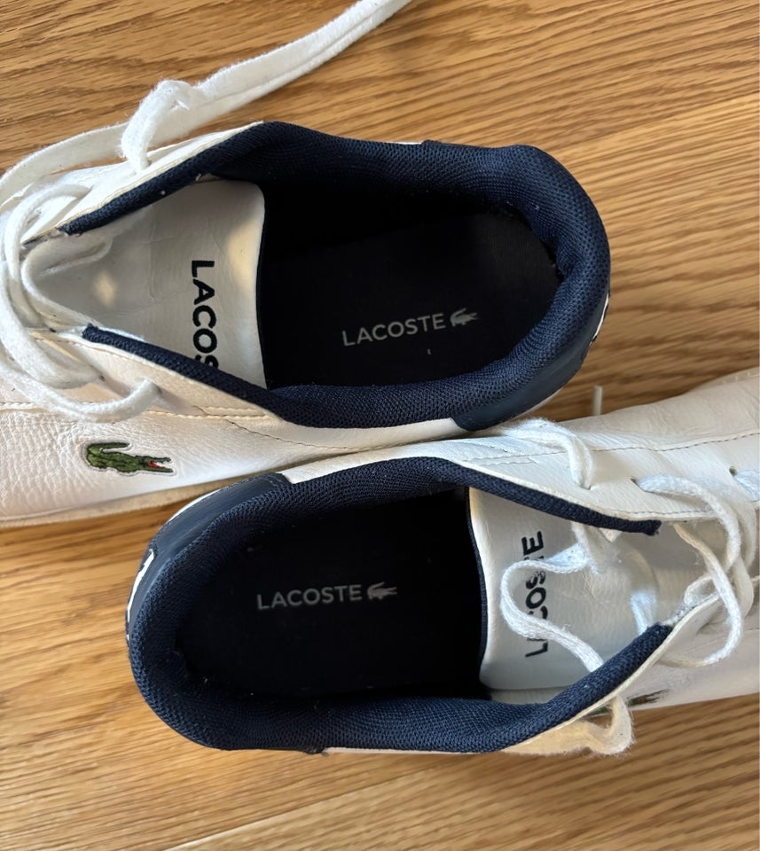 Sneakers, Lacoste, str. 43