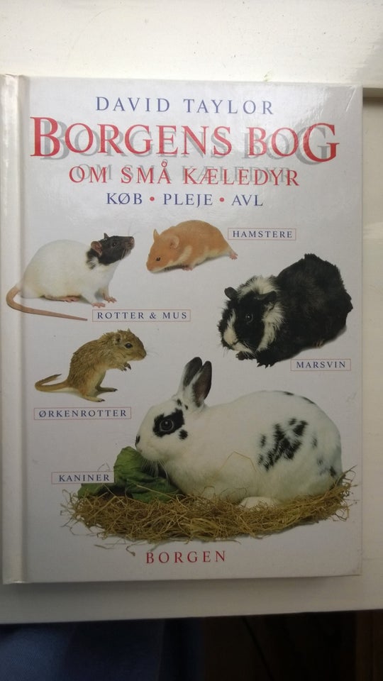 Borgens bog om små kæledyr, David