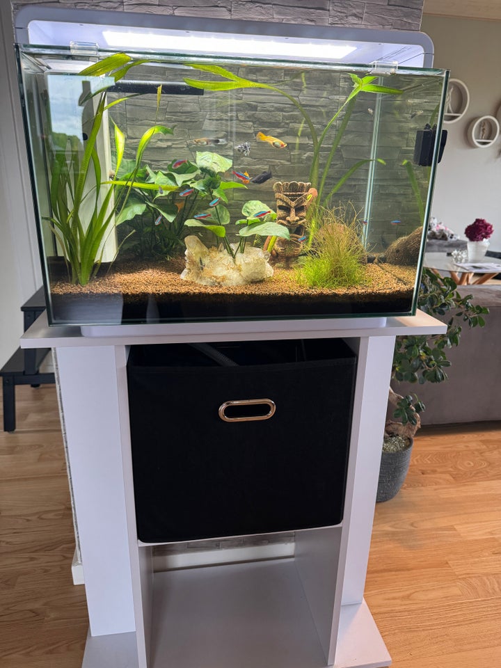 Akvarium, 60 liter