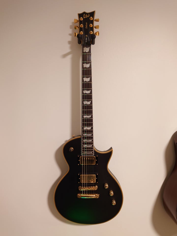 Elguitar, Ltd EC-1000