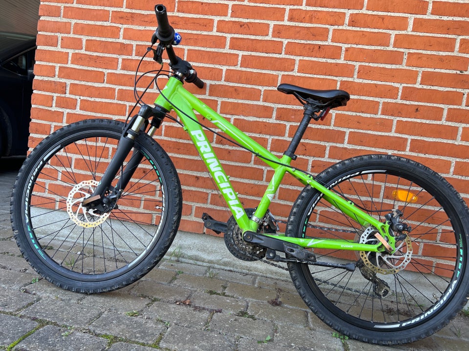 Principia Evoke, hardtail, 24