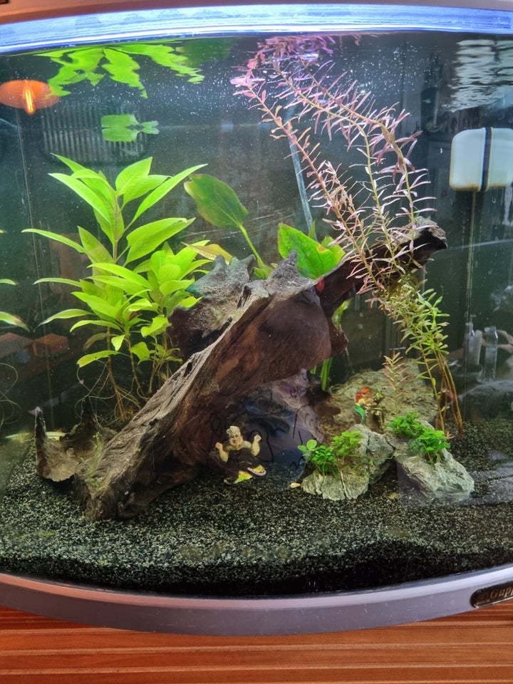 Akvarium, 80 liter, b: 40 d: 38 h: 40