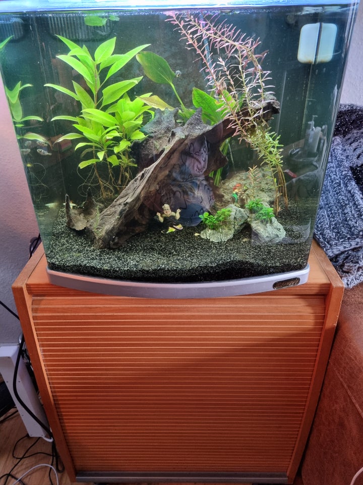 Akvarium, 80 liter, b: 40 d: 38 h: 40