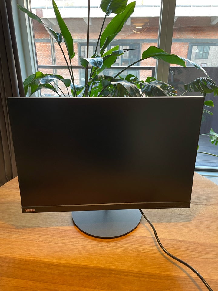 Lenovo, fladskærm, ThinkVision