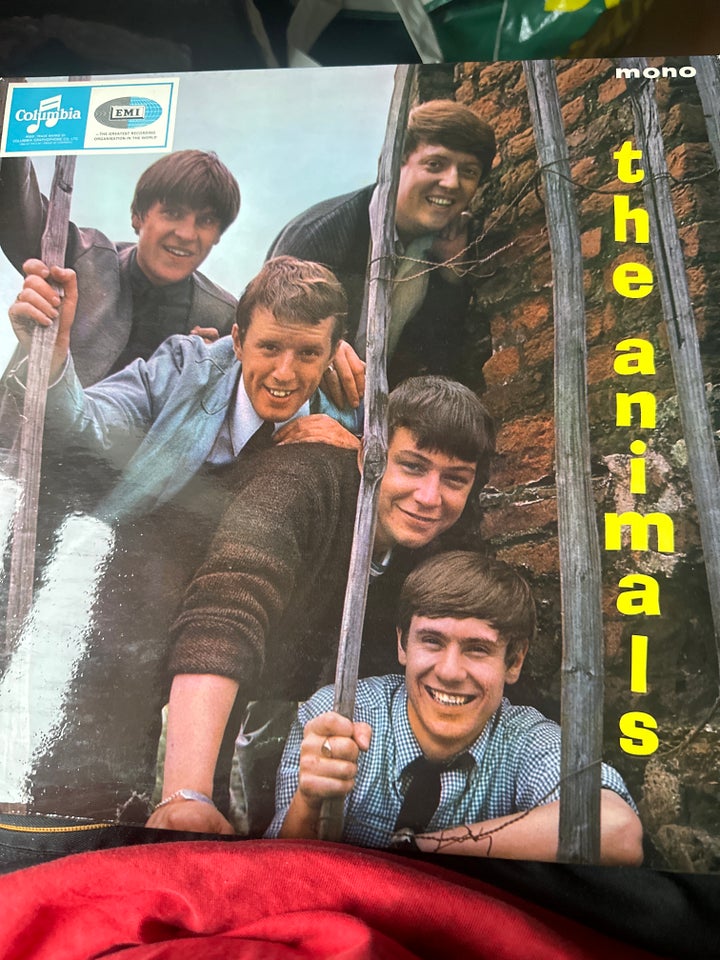 Maxi-single 12", The animals