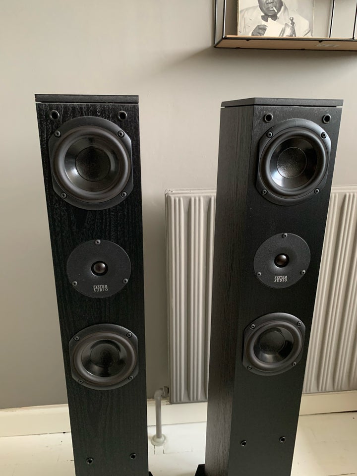 Højttaler, System Audio, 1130