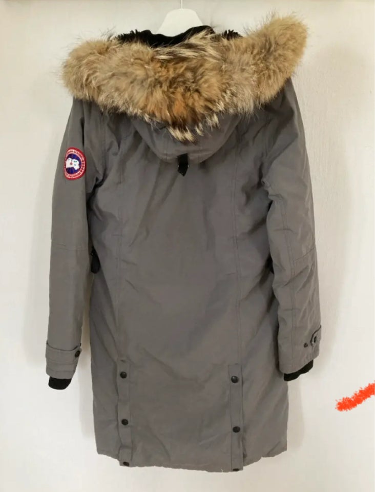 Frakke, str. 38, Canada Goose