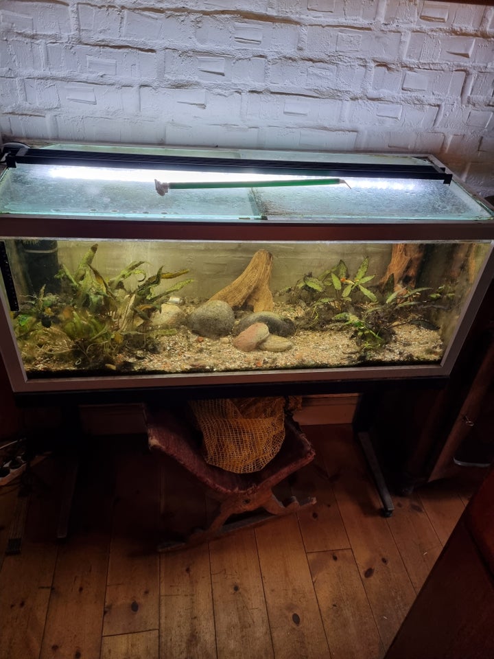 Akvarium, 200 liter