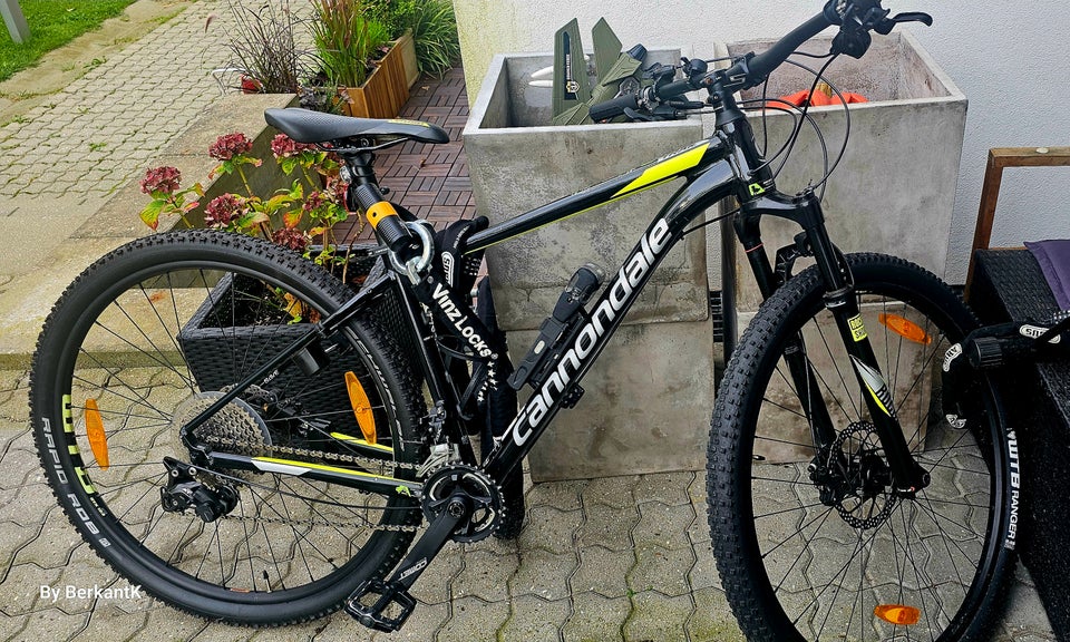 Cannondale Trail 2 29 2019