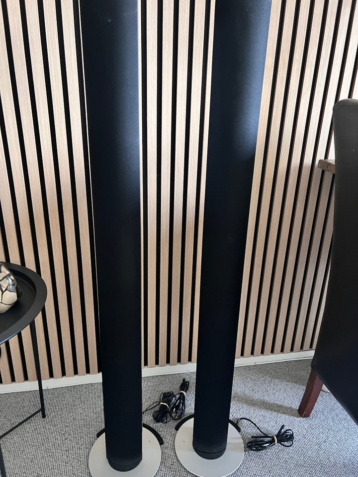 Højttaler, Bang  Olufsen, Beolab