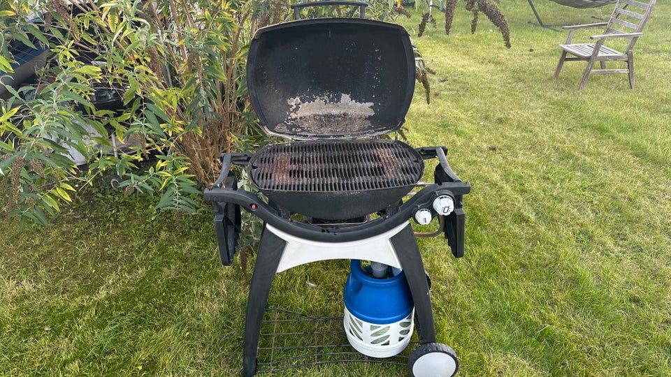 Gasgrill, Weber Q300