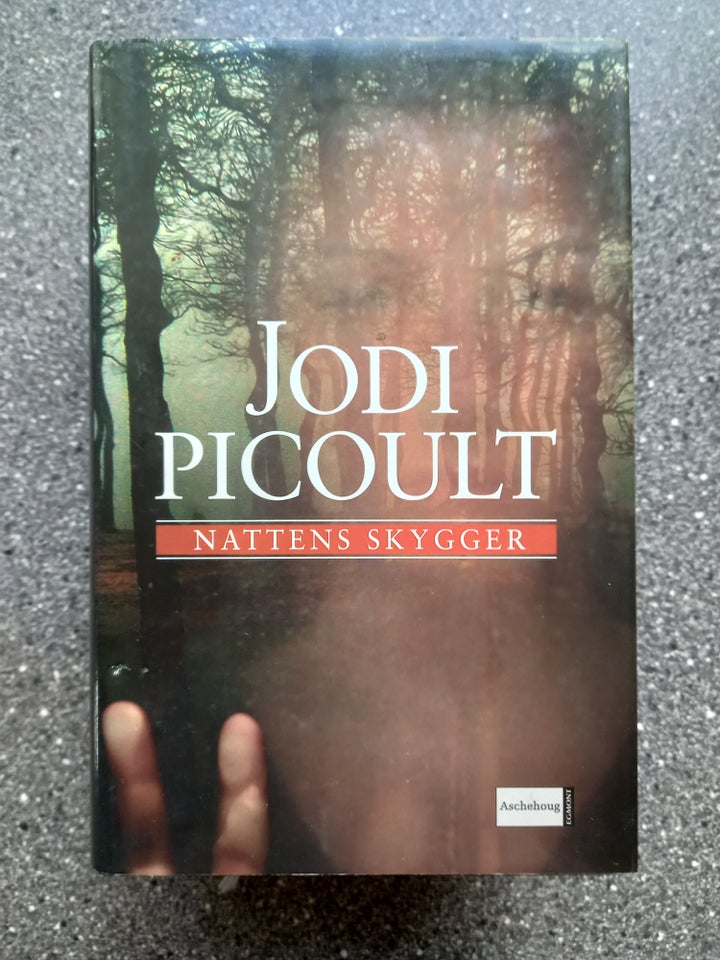 Nattens skygger, Jodi Picoult,