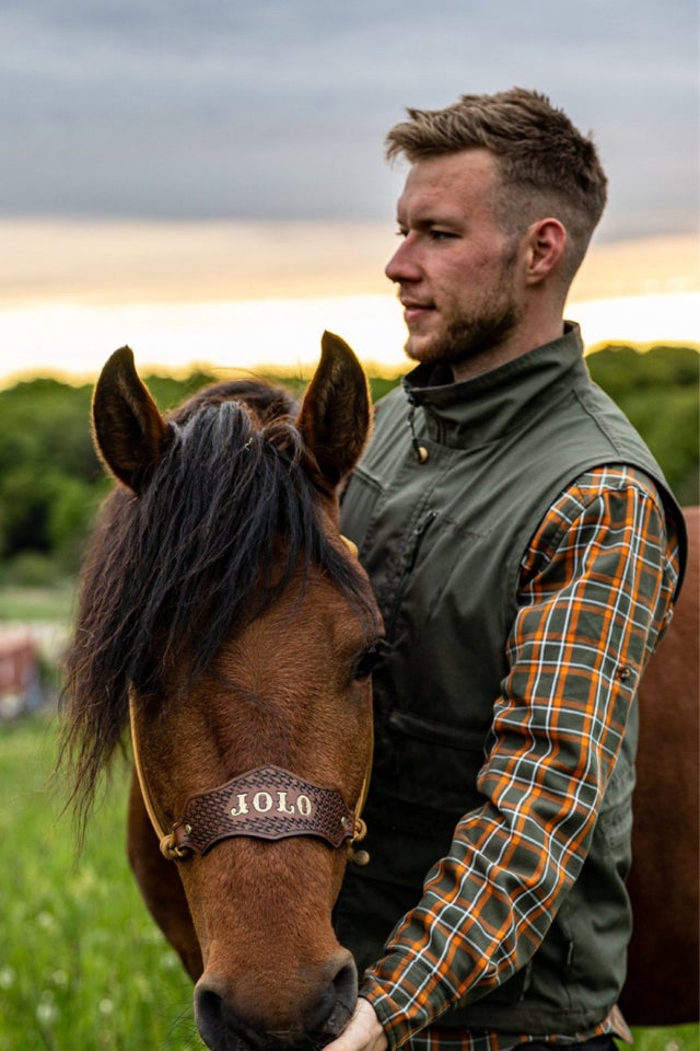 Mangalarga Marchador vallak 7 år