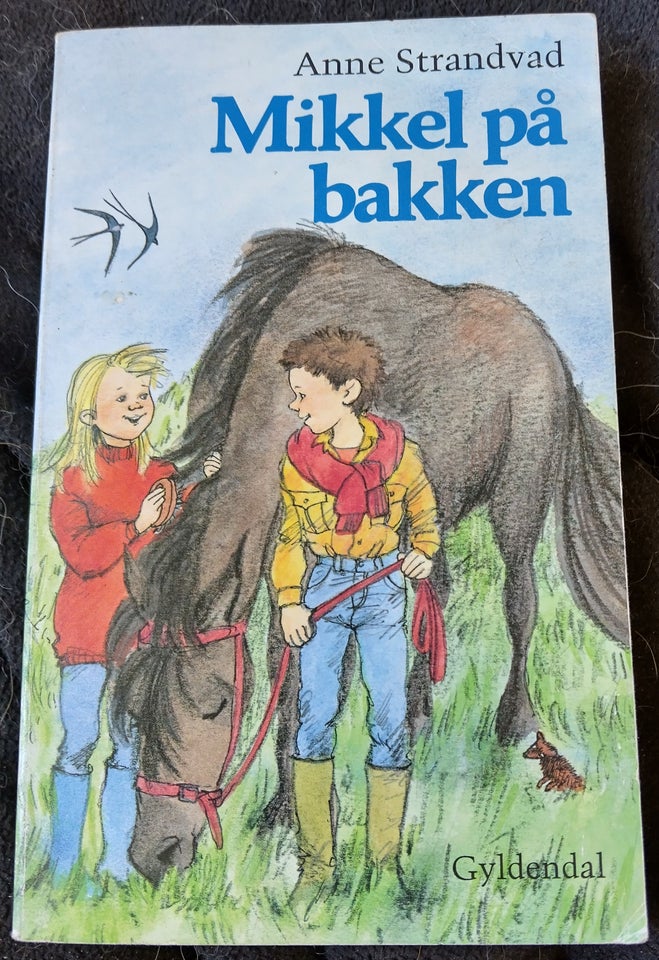 Mikkel på bakken, Anne Strandvad