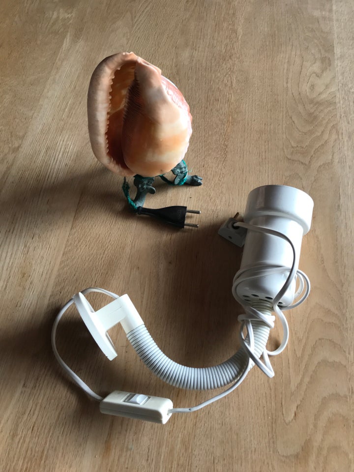 Dagslyslampe, Musling lampe og