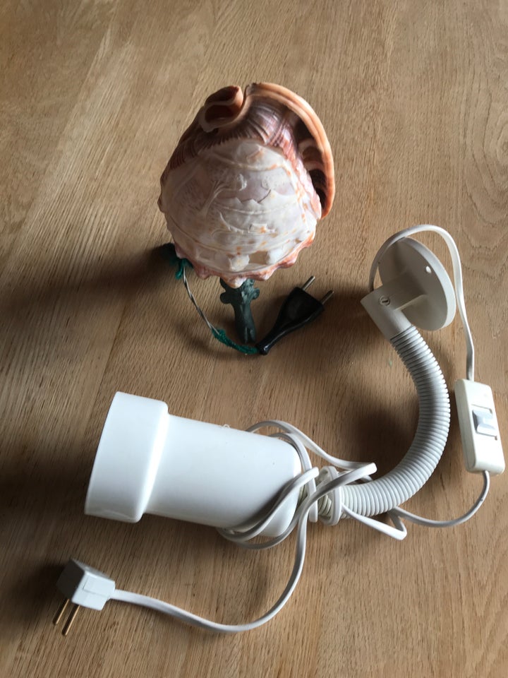 Dagslyslampe, Musling lampe og