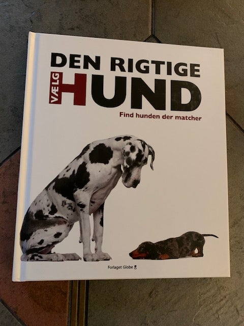 Vælg den rigtige hund, David