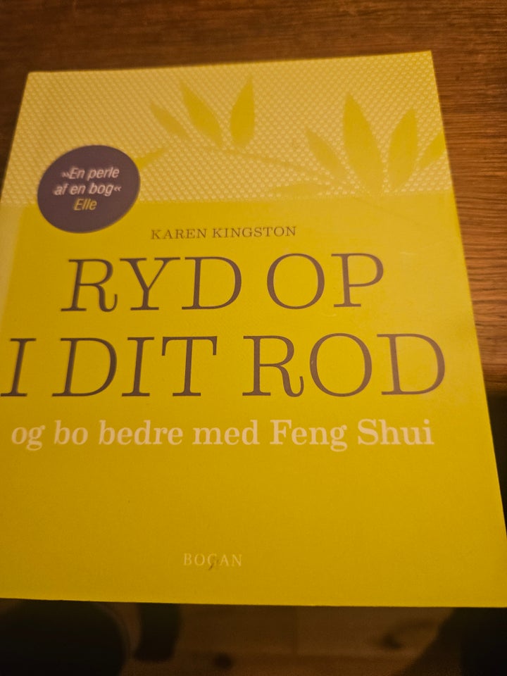 Ryd op i dit rod, Karen Kimgston,