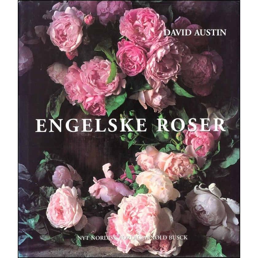 Engelske Roser, Davis Austin,