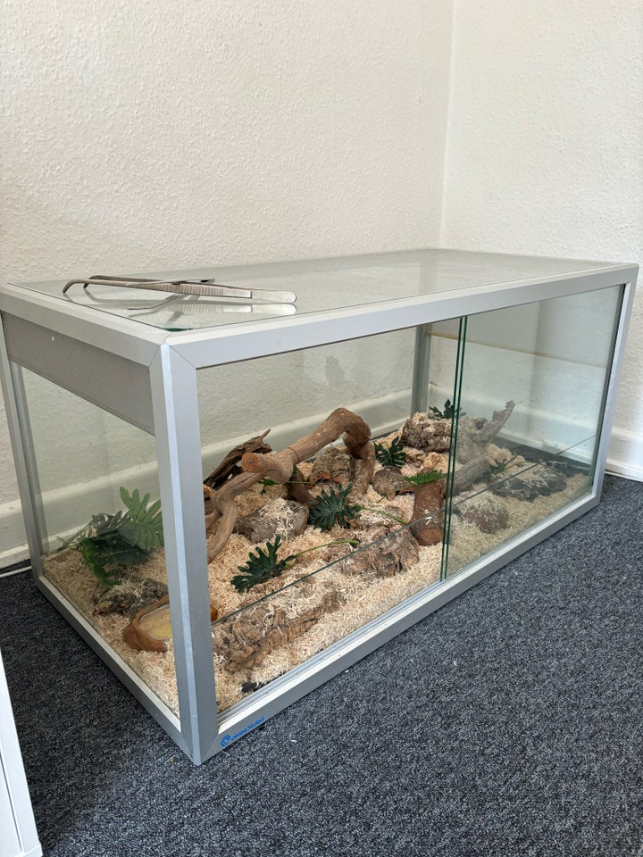 Terrarium