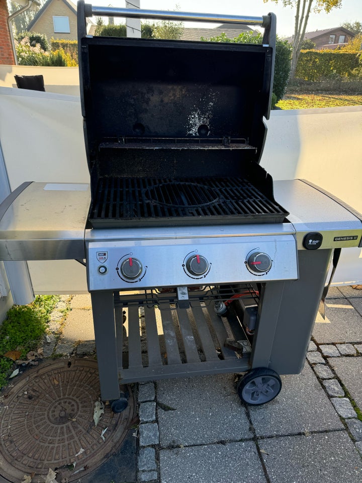 Gasgrill, Weber