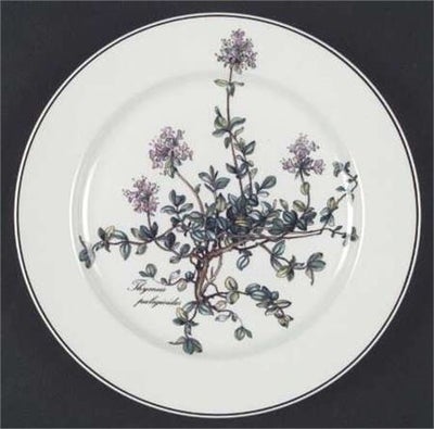 Porcelæn Botanica Villeroy