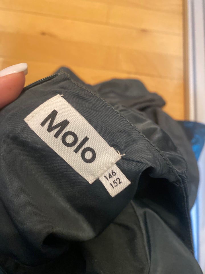 Kjole, Langærmet kjole , Molo