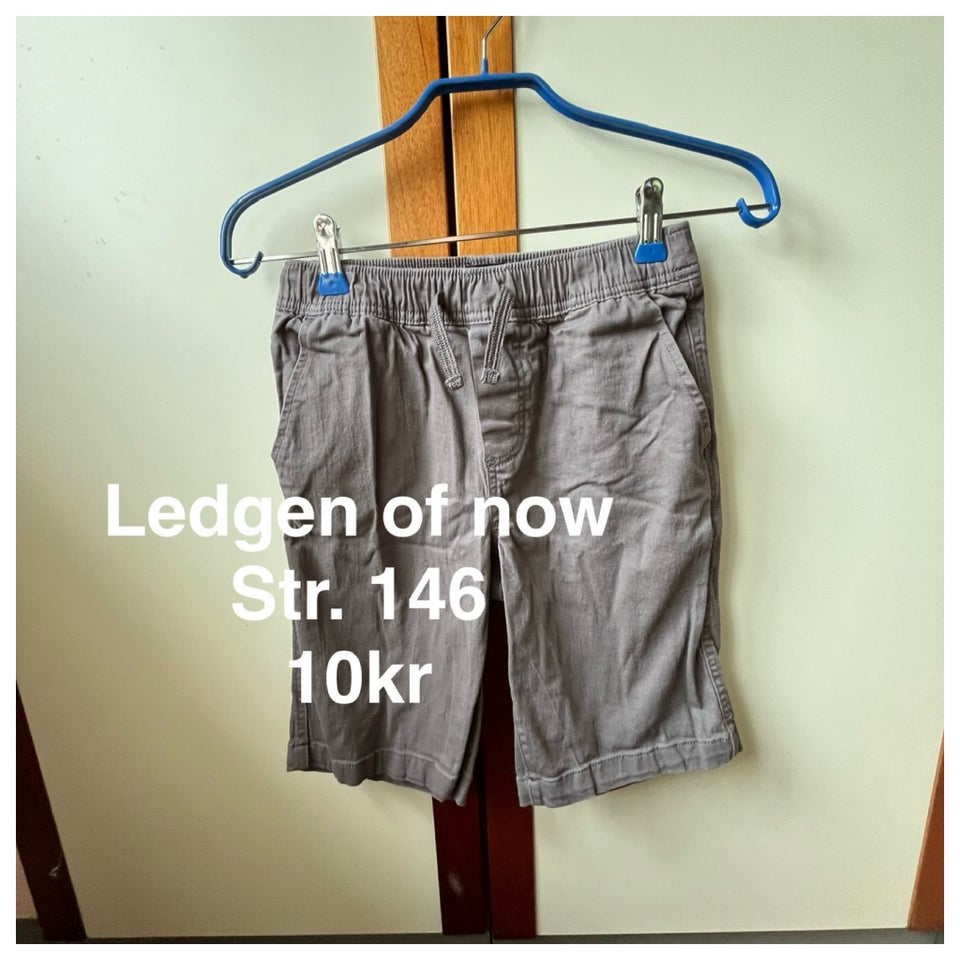 Shorts, Lærred shorts, Ledgen of