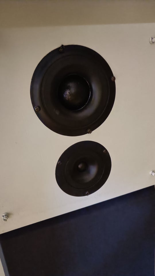 Højttaler, Dynaudio, MSP 300